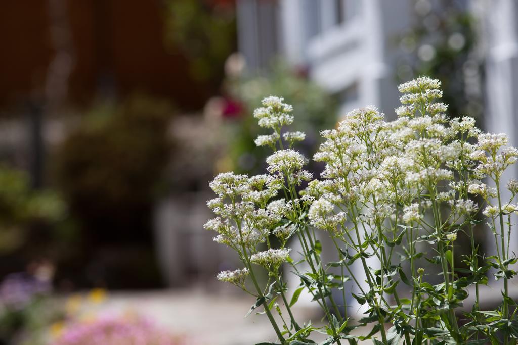 Penwinnick House B&B St Austell Esterno foto